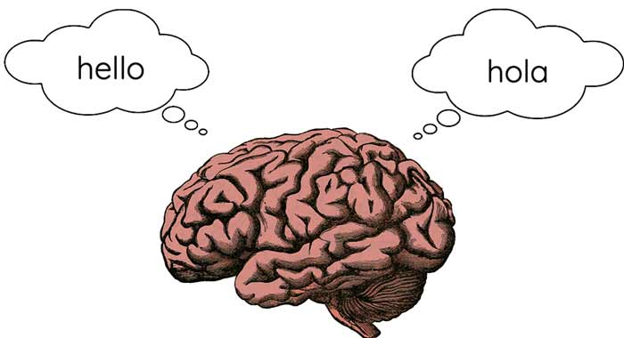  تأثیر شگفت‌انگیز یادگیری زبان دوم بر ذهن، حافظه و هوش کلامی